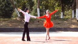 妈妈爆料舞蹈视频大全集,精彩瞬间回顾