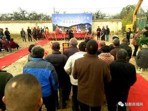 砀山事件爆料视频最新,视频揭露惊人真相